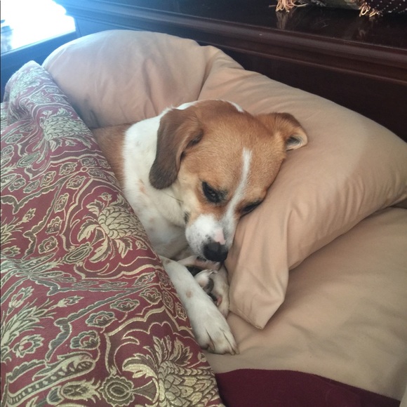 Meet your Posher, Sandra - Picture 3 of 4